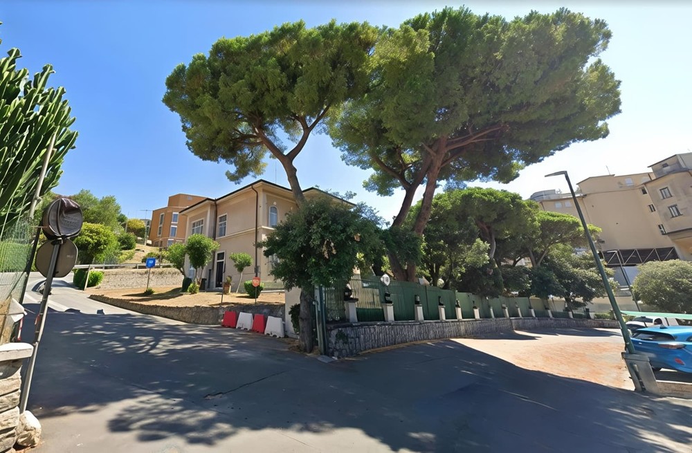 Via Borea, abbattimento dei pini all’ospedale: dal 19 al 24 ottobre modifiche alla viabilità