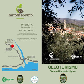 Imperia: nasce una nuova 'experience' in ambito turistico, ecco il progetto dell'Oleoturismo Imperia: nasce una nuova 'experience' in ambito turistico, ecco il progetto dell'Oleoturismo