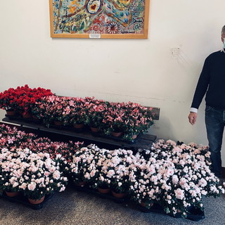 Bordighera: floricoltori locali omaggiano gli operatori del 'Saint Charles' dei loro prodotti (Foto) Bordighera: floricoltori locali omaggiano gli operatori del 'Saint Charles' dei loro prodotti (Foto)