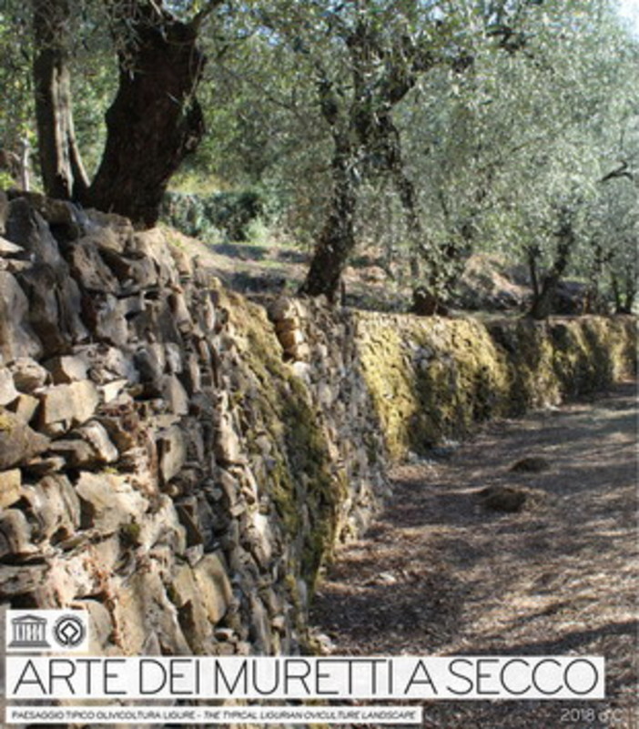 L'Olio Dop Riviera Ligure e i muretti a secco della nostra regione conquistano il Parlamento Europeo