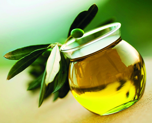 Bordighera: nel giorno di Santo Stefano sul lungomare Argentina la presentazione dell'olio nuovo a cura della Cia Bordighera: nel giorno di Santo Stefano sul lungomare Argentina la presentazione dell'olio nuovo a cura della Cia