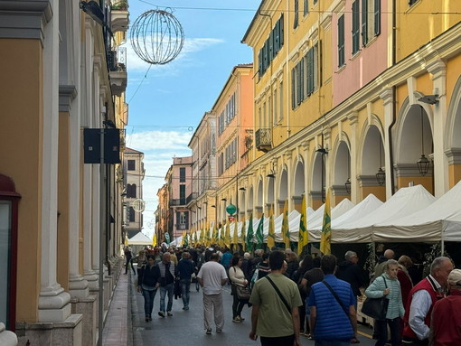 “Identità e futuro dell’oliva da tavola: la forza dell’IGP” – A Imperia il convegno sull’oliva taggiasca ligure nell’ambito di OliOliva 2025