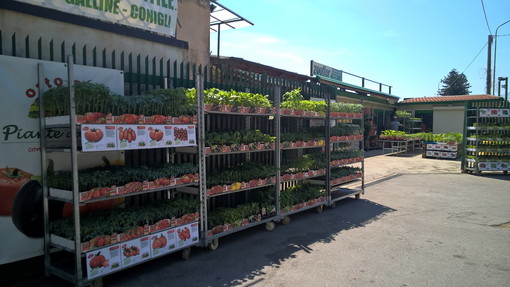 OrtoMio di Forlì, azienda leader nel settore delle piantine da orto, è arrivata da Zooflor di Taggia OrtoMio di Forlì, azienda leader nel settore delle piantine da orto, è arrivata da Zooflor di Taggia