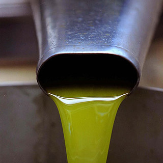 Imperia: venerdì a San Giovanni appuntamento con “olio, assaggio e territorio” Imperia: venerdì a San Giovanni appuntamento con “olio, assaggio e territorio”