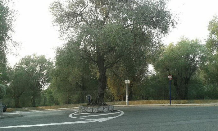 Domenica prossima un momento di raccoglimento per il giovane migrante morto il 6 settembre a Mentone
