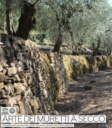 L'Olio Dop Riviera Ligure e i muretti a secco della nostra regione conquistano il Parlamento Europeo L'Olio Dop Riviera Ligure e i muretti a secco della nostra regione conquistano il Parlamento Europeo