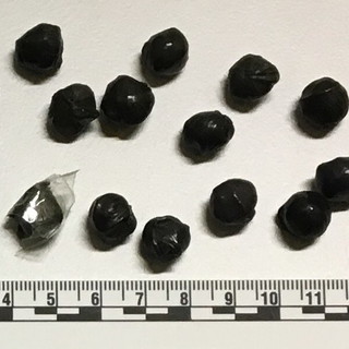 Ventimiglia: pendolari della droga con gli ovuli pieni di eroina nello stomaco, 2 arresti dei Carabinieri della città di confine