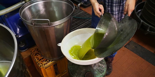 Manovra di Bilancio del Governo: gli agricoltori scendono in piazza a difesa dell’olio ‘Made in Italy’ Manovra di Bilancio del Governo: gli agricoltori scendono in piazza a difesa dell’olio ‘Made in Italy’