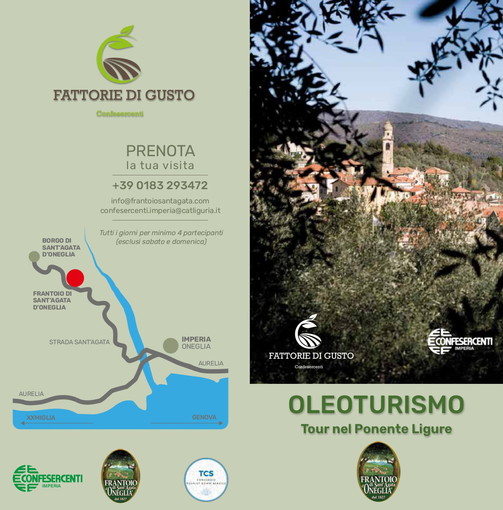 Imperia: nasce una nuova 'experience' in ambito turistico, ecco il progetto dell'Oleoturismo