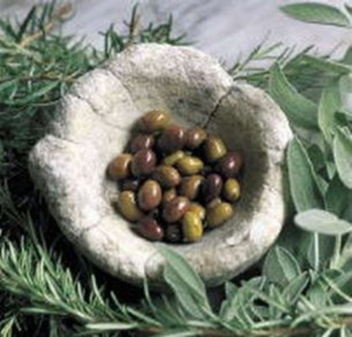 il 27 gennaio a Chiusavecchia una giornata dedicata alla potatura dell'oliveto il 27 gennaio a Chiusavecchia una giornata dedicata alla potatura dell'oliveto