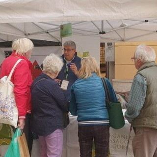 Imperia: Olioliva 2025, Cia Agricoltori Liguria protagonista tra convegni, degustazioni e show cooking Imperia: Olioliva 2025, Cia Agricoltori Liguria protagonista tra convegni, degustazioni e show cooking