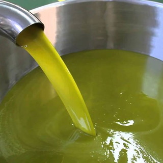 Ventimiglia: oggi in frazione Latte il secondo evento di 'Sapori della nostra Terra', protagonista l'olio