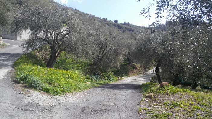 Il luogo dove è avvenuto l'incidente