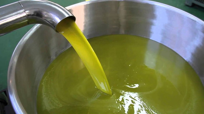 Secondo Coldiretti Liguria la produzione regionale nel 2016 diminuisce del 40%: Calleri "Ancora più importante guardare con attenzione le etichette e acquistare extravergini Dop" Secondo Coldiretti Liguria la produzione regionale nel 2016 diminuisce del 40%: Calleri "Ancora più importante guardare con attenzione le etichette e acquistare extravergini Dop"