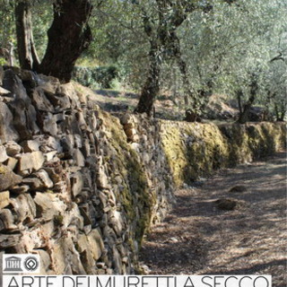 L'Olio Dop Riviera Ligure e i muretti a secco della nostra regione conquistano il Parlamento Europeo L'Olio Dop Riviera Ligure e i muretti a secco della nostra regione conquistano il Parlamento Europeo