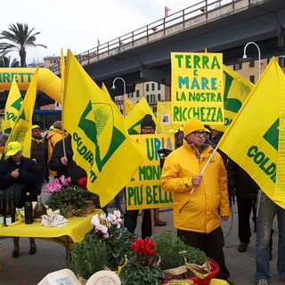 Immagine di repertorio