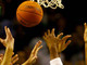 Pallacanestro: entra nel pieno la stagione dell'Olimpia Basket Taggia, ieri il derby delle Under 16