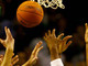 Pallacanestro: l'Under 13 del Sea Basket Sanremo si impone agevolmente nella trasferta di Vado Pallacanestro: l'Under 13 del Sea Basket Sanremo si impone agevolmente nella trasferta di Vado