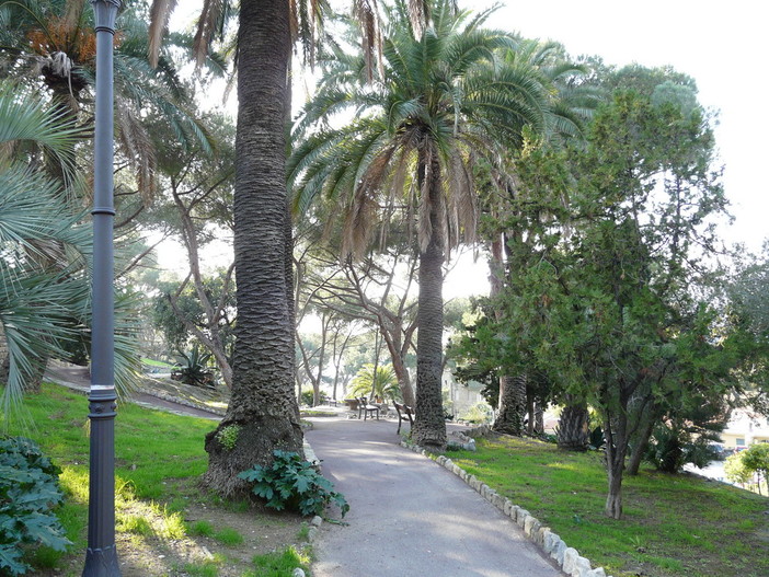 Bordighera: restyling in arrivo per la Pineta del Capo, ecco il progetto per la completa valorizzazione
