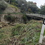Sanremo, oltre 185mila euro per la manutenzione dei torrenti: pulizia degli alvei e rimozione degli ostacoli prima dell'inverno Sanremo, oltre 185mila euro per la manutenzione dei torrenti: pulizia degli alvei e rimozione degli ostacoli prima dell'inverno