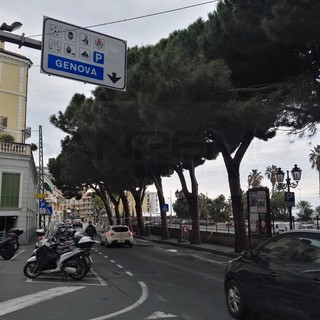 Sanremo: dopo l'approvazione dello stanziamento in Consiglio partita la potatura degli alberi a rischio (Foto) Sanremo: dopo l'approvazione dello stanziamento in Consiglio partita la potatura degli alberi a rischio (Foto)