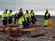 Bordighera: Protezione Civile al lavoro per tutto il giorno per liberare le spiagge da legni e immondizia (Foto)