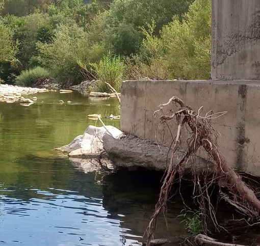 Ventimiglia: dal fiume emerge la fondazione, chiuso per sicurezza il ponte tra Bevera e Sant'Antonio