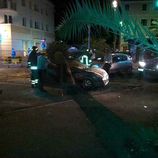 Bordighera: palma cade in via Sant'Ampelio, un'auto distrutta e per fortuna nessun ferito