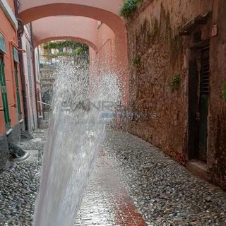 Ventimiglia: pulizia delle strade, Scullino “Alcuni proprietari di cani sono troppo distratti” (Foto) Ventimiglia: pulizia delle strade, Scullino “Alcuni proprietari di cani sono troppo distratti” (Foto)