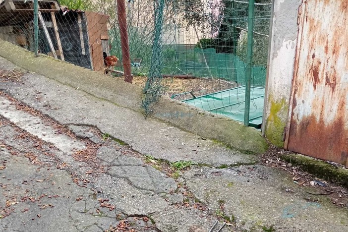 Il pollaio sopra la vasca di Montegrazie Il pollaio sopra la vasca di Montegrazie