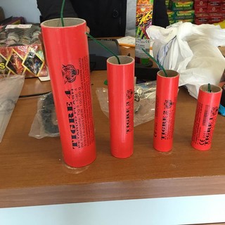 Ospedaletti Insieme: "Vietare i botti di Capodanno per tutelare salute e convivenza" Ospedaletti Insieme: "Vietare i botti di Capodanno per tutelare salute e convivenza"