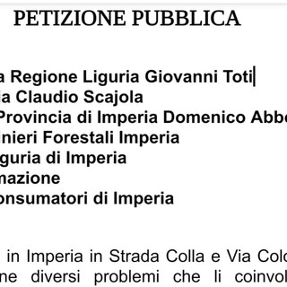 Imperia: una raccolta firme per avere chiarimenti sui lavori per l'innalzamento di una torre di telecomunicazione in strada Colla Imperia: una raccolta firme per avere chiarimenti sui lavori per l'innalzamento di una torre di telecomunicazione in strada Colla