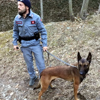 Ormea: gli studenti della scuola forestale hanno parlato di 'Life Wolfalps', il progetto del lupo sulle Alpi Ormea: gli studenti della scuola forestale hanno parlato di 'Life Wolfalps', il progetto del lupo sulle Alpi
