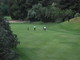Golf: le Juniores degli 'Ulivi' vice campioni d'Italia ed i maschi tornano in Prima Divisione