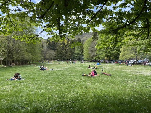 Sanremo: domenica prossima sul prato di San Romolo ultimo appuntamento dell'anno per 'Radice' Sanremo: domenica prossima sul prato di San Romolo ultimo appuntamento dell'anno per 'Radice'