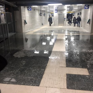 Foto di Jole Cardone