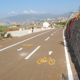Educazione tra ciclisti, automobilisti e pedoni: l'intervento del nostro lettore Fabrizio Marani Educazione tra ciclisti, automobilisti e pedoni: l'intervento del nostro lettore Fabrizio Marani