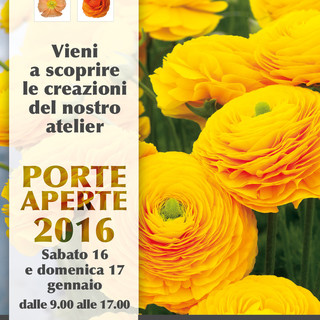 Porte Aperte 2016, iniziato il conto alla rovescia: sabato e domenica torna il tradizionale appuntamento con le varietà di ranuncoli e anemoni dell'azienda agricola Biancheri