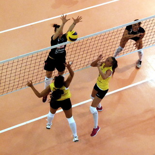 Sanremo: Igor Gorgonzola Novara-Skup Olomouc e Banca di Forlì-San Pietroburgo le semifinali del 'Tessitore' Sanremo: Igor Gorgonzola Novara-Skup Olomouc e Banca di Forlì-San Pietroburgo le semifinali del 'Tessitore'