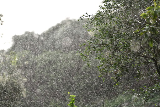 Maltempo sulla nostra provincia: pioggia soprattutto in montagna, il picco ad Apricale con 113 mm Maltempo sulla nostra provincia: pioggia soprattutto in montagna, il picco ad Apricale con 113 mm