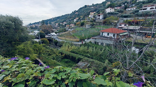 Sanremo prepara l'autunno: 185mila euro per la manutenzione dei torrenti tra Levante e Ponente in vista delle piogge Sanremo prepara l'autunno: 185mila euro per la manutenzione dei torrenti tra Levante e Ponente in vista delle piogge
