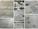 Sanremo: pavimentazione sporca e macchiata tra piazza Borea D'Olmo e via Mameli, le proteste (Foto)