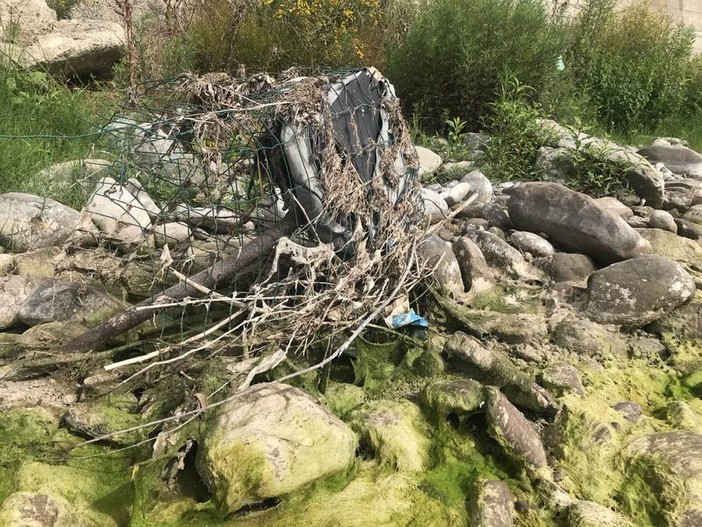 Camporosso a favore dell'ambiente: al via la pulizia del torrente Nervia (Foto)