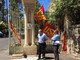Imperia: presidio del sindacato Usb in Provincia "Situazione disastrosa alla Riviera Trasporti" (Foto e Video) Imperia: presidio del sindacato Usb in Provincia "Situazione disastrosa alla Riviera Trasporti" (Foto e Video)