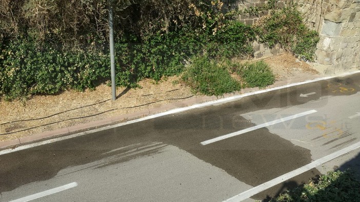 Sanremo: perdita d'acqua che finisce sulla pista ciclabile ai 'Tre Ponti'... e che odori insopportabili! Sanremo: perdita d'acqua che finisce sulla pista ciclabile ai 'Tre Ponti'... e che odori insopportabili!