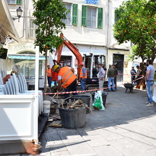 Sanremo: nonostante il dehor il comune pianta dopo oltre un anno gli aranci di fronte ad un locale di piazza Bresca Sanremo: nonostante il dehor il comune pianta dopo oltre un anno gli aranci di fronte ad un locale di piazza Bresca