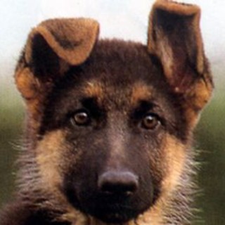 Foto generica Foto generica