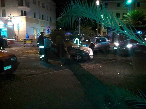 Bordighera: palma cade in via Sant'Ampelio, un'auto distrutta e per fortuna nessun ferito