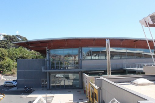 Imperia: sabato prossimo al Palazzetto dello Sport il 'Judo Open Day', il commento dell'Assessore Vassallo Imperia: sabato prossimo al Palazzetto dello Sport il 'Judo Open Day', il commento dell'Assessore Vassallo