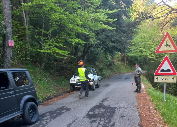 Perinaldo: lavori in corso sulla Strada Provinciale 61, massima prudenza per chi transita Perinaldo: lavori in corso sulla Strada Provinciale 61, massima prudenza per chi transita